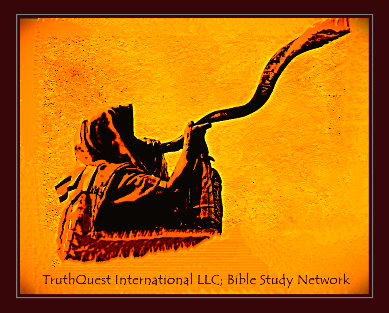 TruthQuest International LLC; Bible Study Network